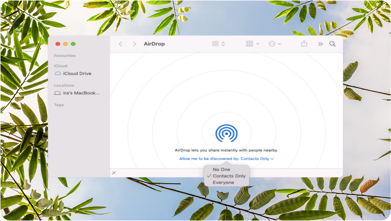 Collaborate with Ease